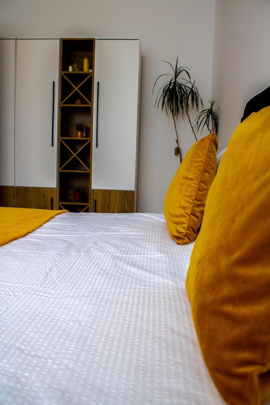 Apartament Aleea Minerva Braşov Extérieur photo